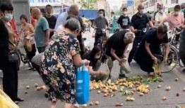 周口老人爆料视频最新,揭秘当地神秘事件真相！